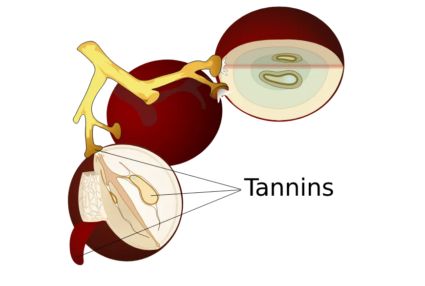 Tá tainniní suite sa gas, síolta agus craiceann