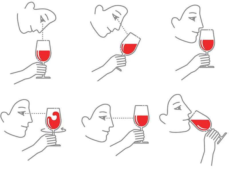 Tast de vins per a principiants