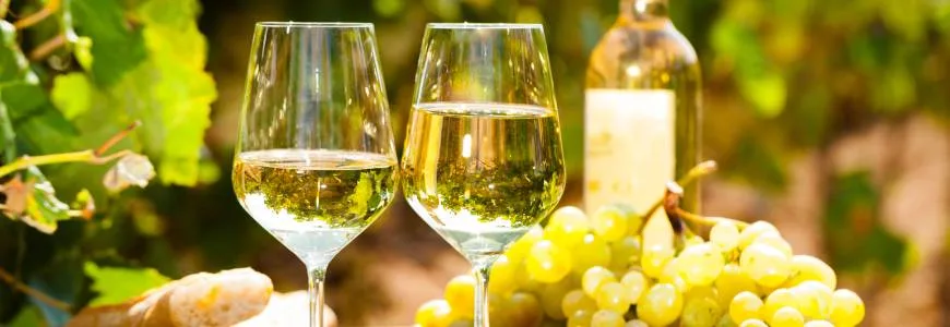 ¿Vino blanco seco o vino blanco dulce?