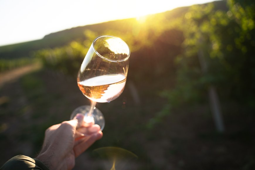 L'esposizione prolungata del vino alla luce solare non va bene