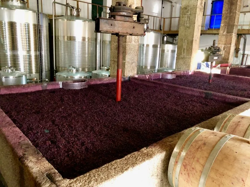 A szőlő fermentációja során a cukrok alkohollá alakulnak. Minél kevesebb a maradék cukor, annál szárazabb a bor