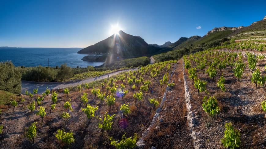 Het terroir en de bodem in Dalmatië