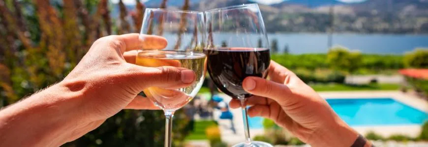 El vi es fa amb raïm, per què no té gust de raïm? 1 Per què el vi no té gust de raïm?