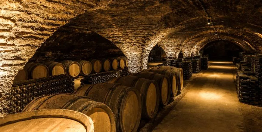 Wine cellar with oak barrels