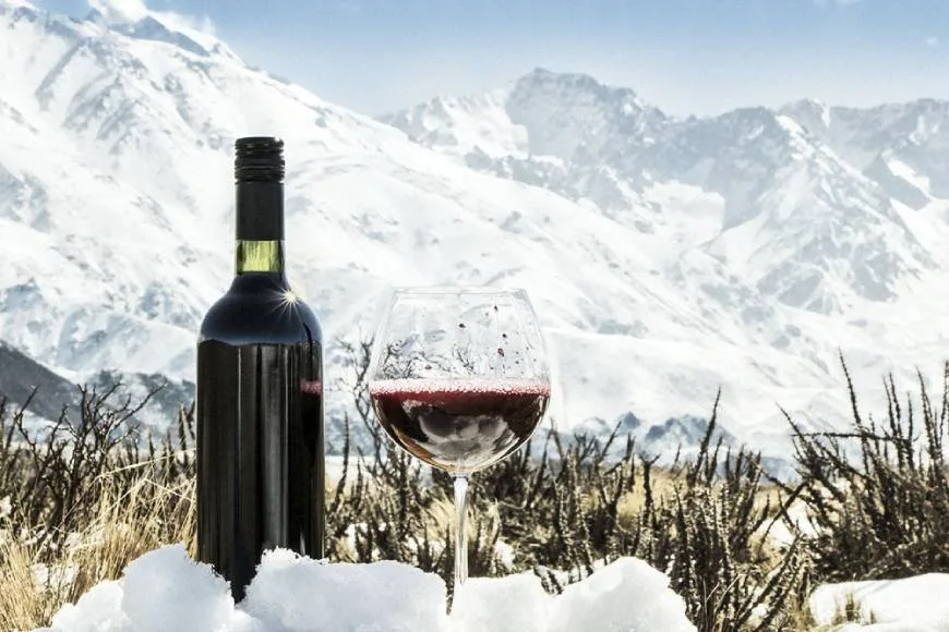10 mites i malentesos sobre el vi desmentits 5 Ampolla de vi negre, freda a la neu