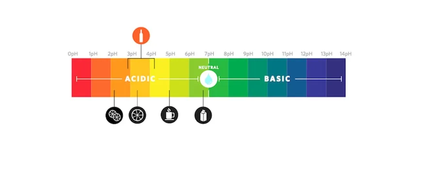 Acids of wine on a pH scale