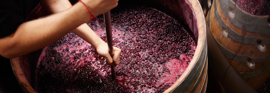 Wijngist wordt gebruikt bij het maken van wijn