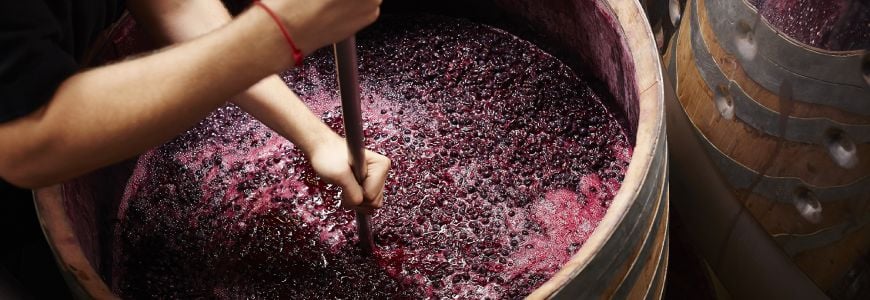 El most de raïm s'utilitza per fer vi