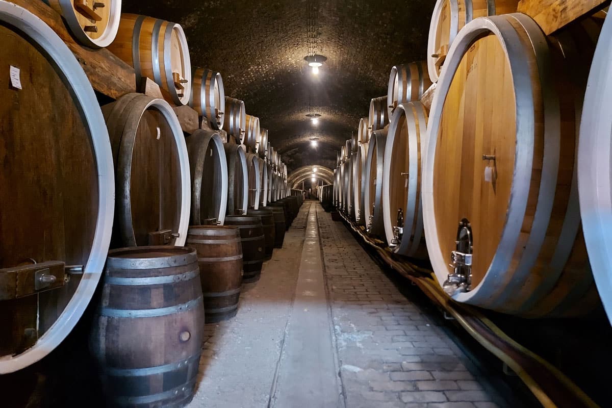 Wijnkelder in Ilok, Kroatië, met verschillende wijnvaten