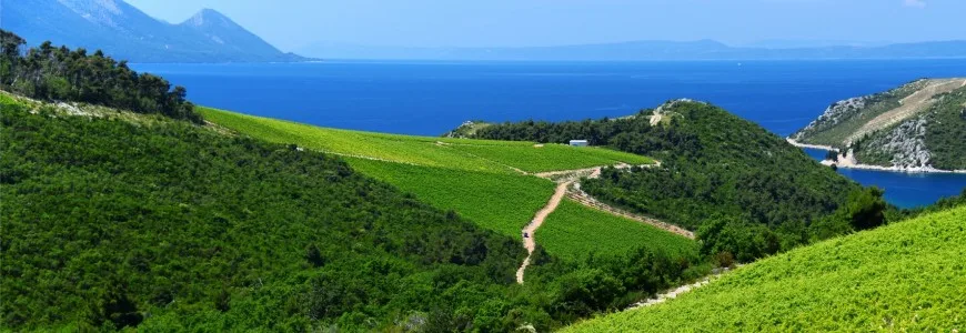 Pays des vins de Croatie