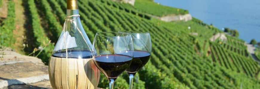 Plej bonaj 10 vinfarejoj de Korčula