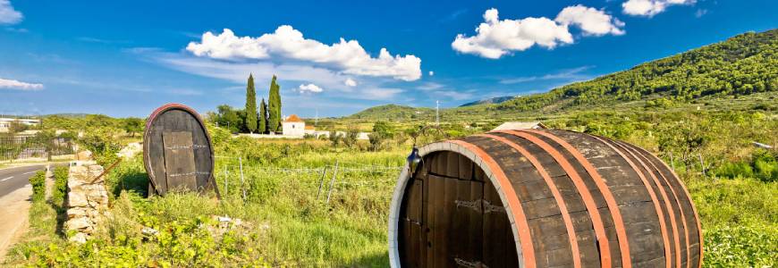 Kroatische wijnroutes - ontdek de betoverende wereld van Kroatische wijngaarden en wijnen.