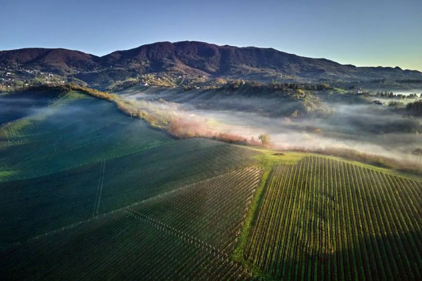 Descobriu les encantadores rutes del vi de Croàcia 25 Plešivica: on les vinyes es troben amb el cel, un paradís per als amants del vi.