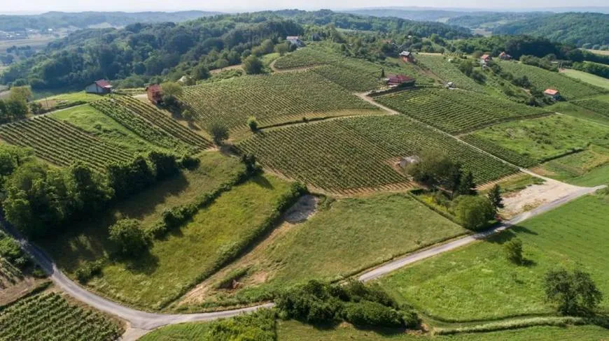 Descobriu les encantadores rutes del vi de Croàcia 29 Zelinska: una destinació vitivinícola encantadora on el gust de la passió i la tradició s'uneixen en cada raïm.