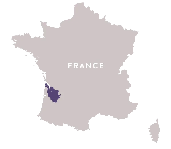 Cabernet Sauvignon vs. Merlot: Faigh amach Cumhacht na 2 Fhíona 9 seo Is é Bordeaux réigiún tionscnaimh Cabernet Sauvignon & Merlot araon