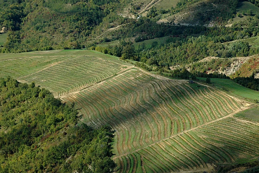 Prigorje et Bilogora regionis vinum